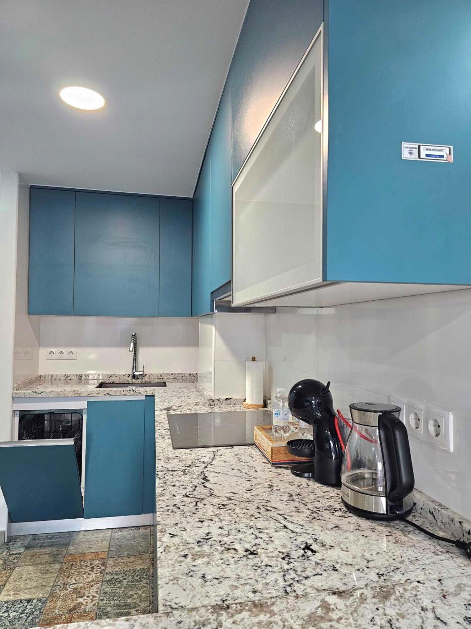 Suncastle Apartamentos Alicante -With Sunny Rooftop Terrace And Barbecue Exterior foto